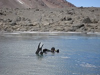 Lago de los Polacos