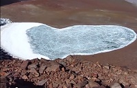 Pular pool